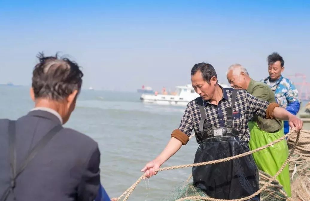 长江刀鱼最新政策,长江刀鱼从什么时候开始禁捕的