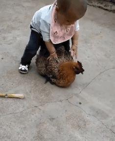 山东二胎妈妈的辛酸,山东二胎妈妈