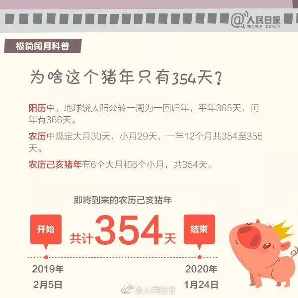 猪年354天是哪一年,为什么猪年有354天
