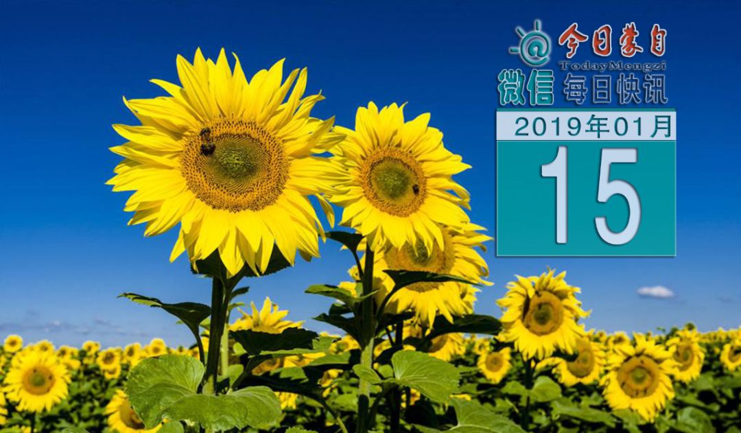 蒙自今日快报,蒙自今天新闻快报