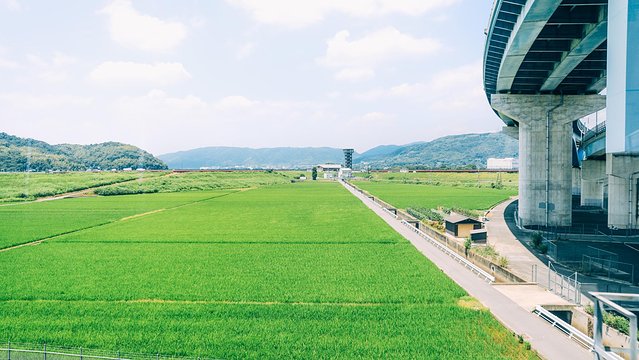 七月日本大阪,七月的日本大阪