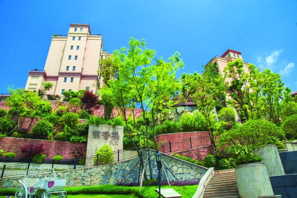 房地产品牌发展大会,贵州房地产发展报告