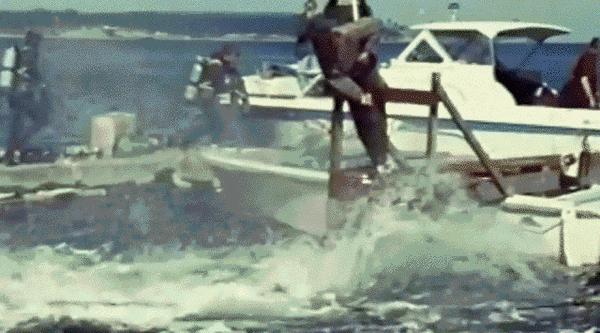 丧心病狂！每帧画面都在捅刀子，多少人忽视了这些人间惨剧…