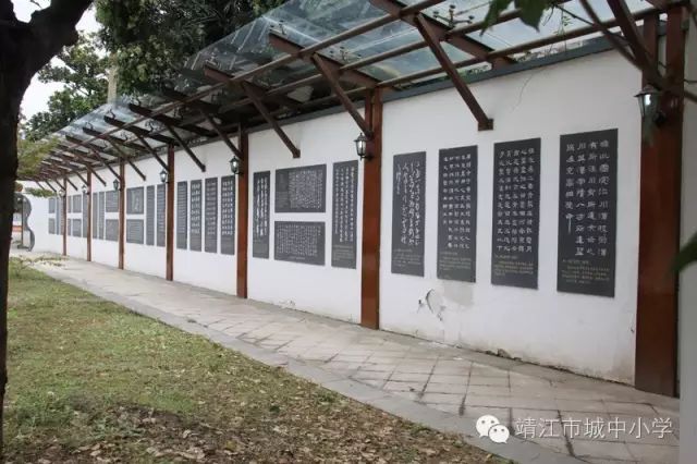 获奖连连！靖江这几所学校特别牛……