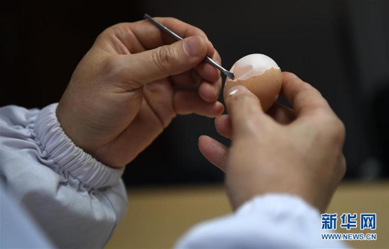 来者不拒！外科医生竟拿它们来练手