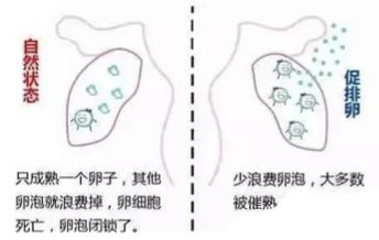 异地恋、姐弟恋陆续见光死，女人如何掌舵成为幸福操盘手？
