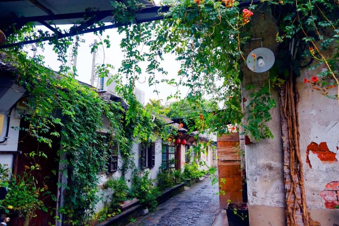 《论语》中的精华，只读一遍，受益终生