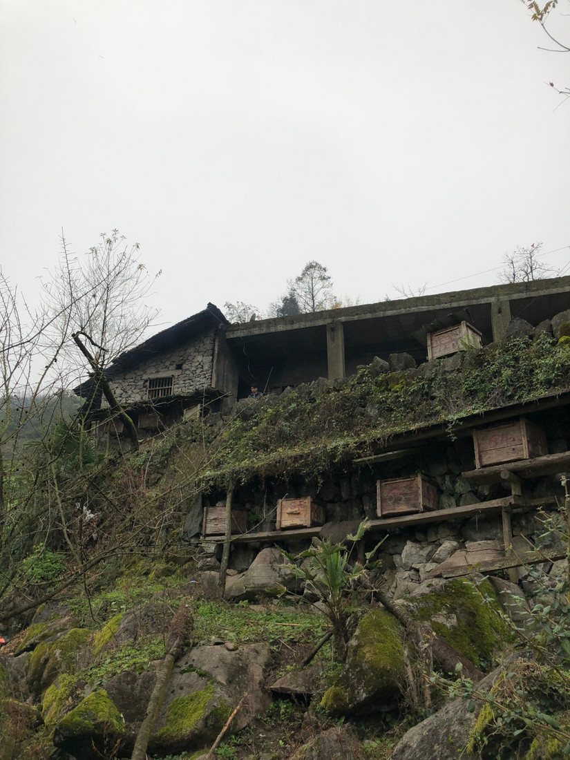 在世外桃源做傻子