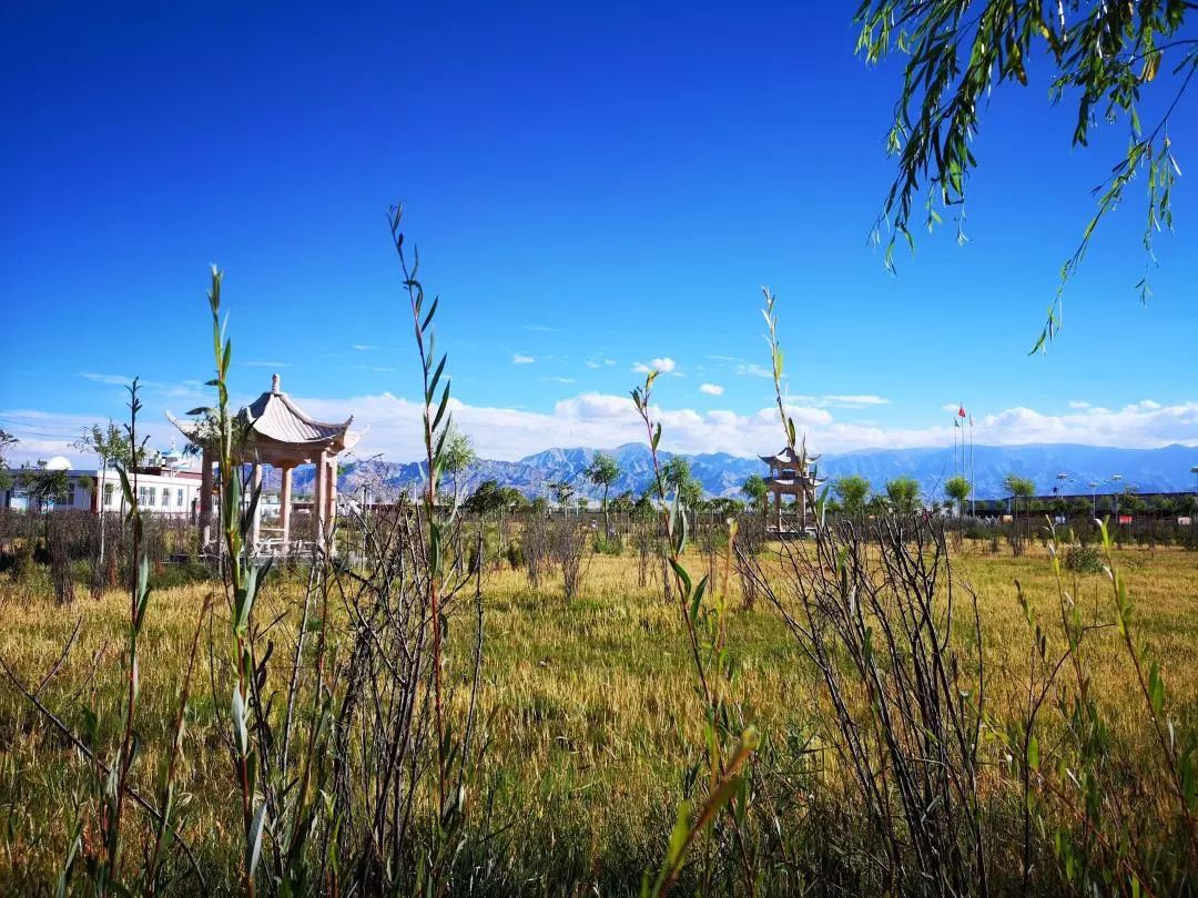 最美乡村有什么特点,有哪些很漂亮的乡村