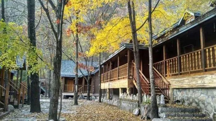 少林寺清明上河园一日游攻略,清明上河园附近免门票景区