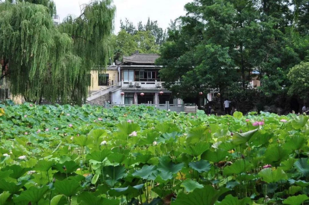 西安动物园旅游手绘示意图,最美的西安公园风景图