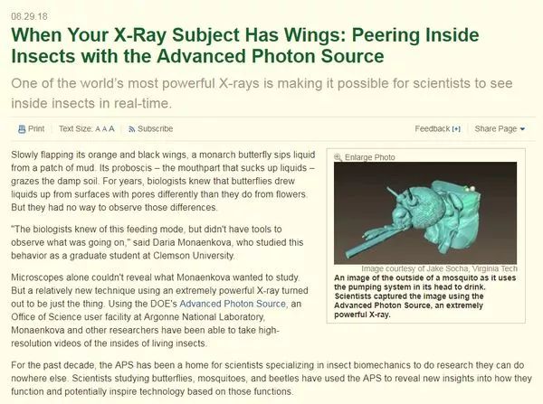蚊子是怎么形成的全过程,蚊子十大鲜为人知的科学事实