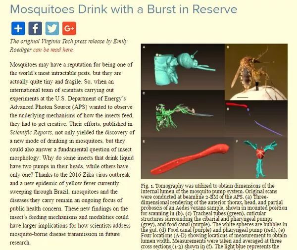蚊子是怎么形成的全过程,蚊子十大鲜为人知的科学事实