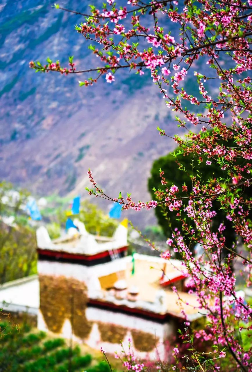 一个人说走就走旅行清单,一个人的旅行清单不用等最爱的人