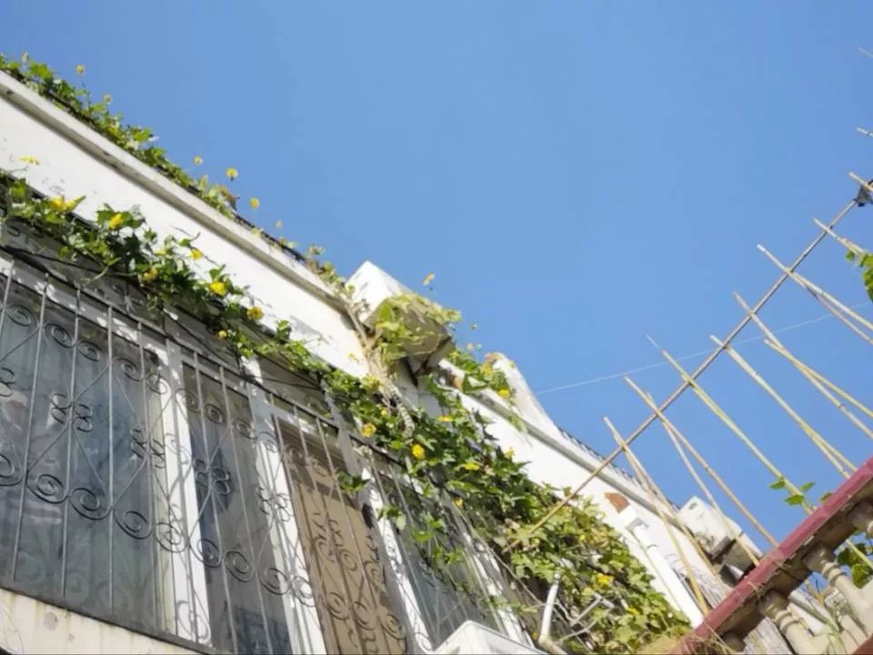 武汉大学生寒假时间安排,大学生寒假2022安排时间表