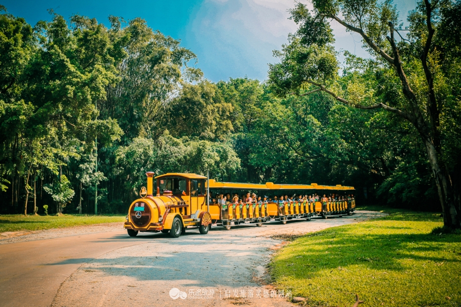 全国最大的动物园旅游攻略排行榜,南通森林野生动物园自驾还是步行