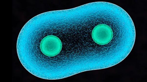 2018年18篇论文“挑战教科书”，你最惊奇的是？