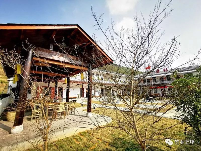 福建树屋酒店推荐,福建特点树屋民宿度假屋特点