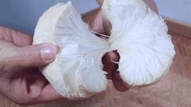 三种日常小食材养胃良方,吃什么零食养胃又治胃病