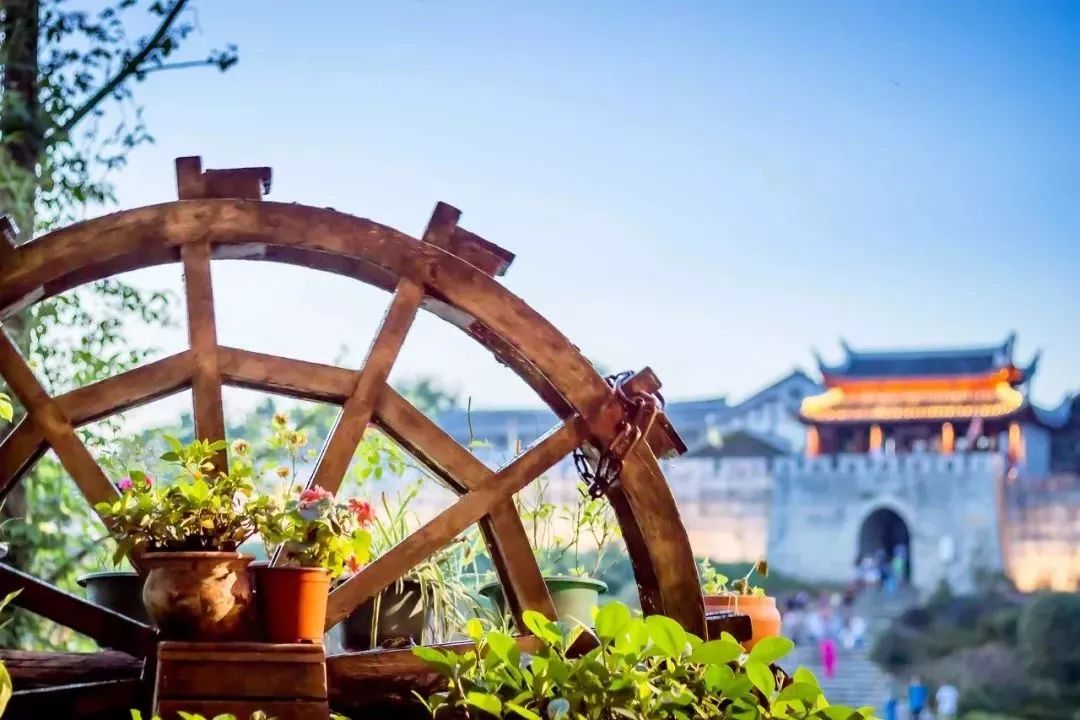 开启2019年的第一场旅行,2019第一场旅行去哪里