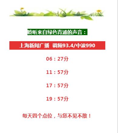 生态甲鱼养殖报告,生态甲鱼外塘养殖纯正中华甲鱼