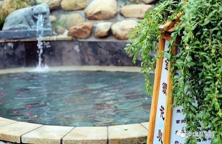 泰山温泉门票多少钱,泰山森林温泉门票