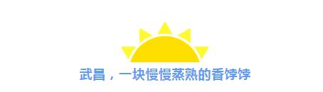 武汉人，2018年你们住得好吗？
