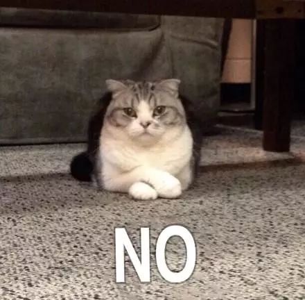 解决了困扰物理学界三十年的难题,数学物理界难题