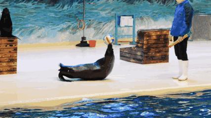 大朋友小朋友，六一去哪嗨？宜昌14家景区特惠福利来袭！