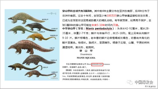 穿山甲列为二类保护动物,穿山甲国家禁止用的规定