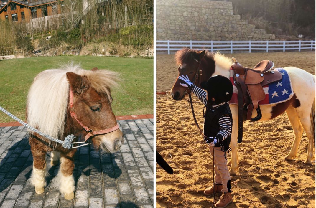 浙江安缦度假酒店,杭州顶级酒店安缦