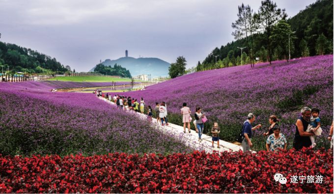 四川遂宁年味旅游攻略,遂宁怎么玩