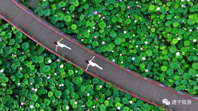 四川遂宁年味旅游攻略,遂宁怎么玩