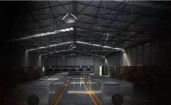 曼松名气大,曼松为什么这么贵