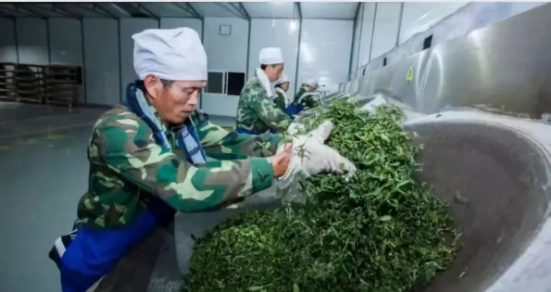 曼松名气大,曼松为什么这么贵