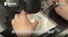 未婚女孩捐一次卵有危害吗,女性捐卵子对身体有伤害吗