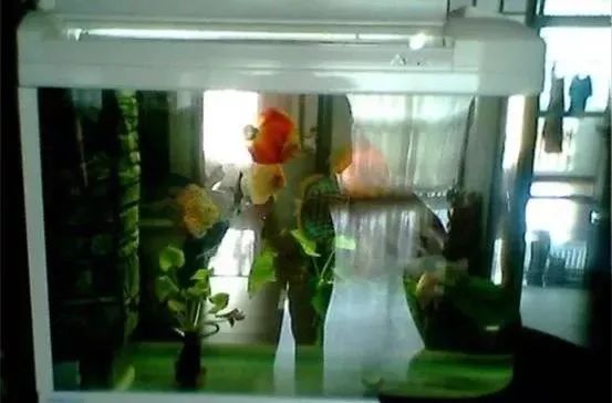 海缸基础知识大全,海缸知识大全图解