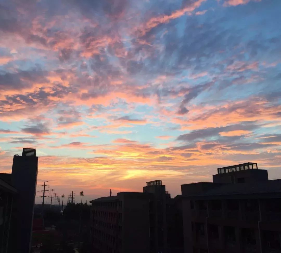 常州大学院校排名前十名,常州十大高校