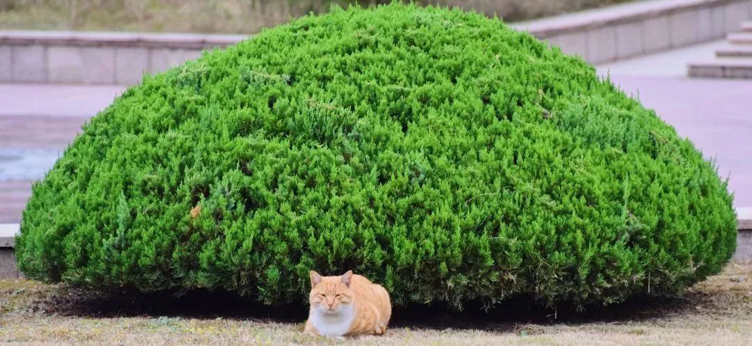 常州大学院校排名前十名,常州十大高校