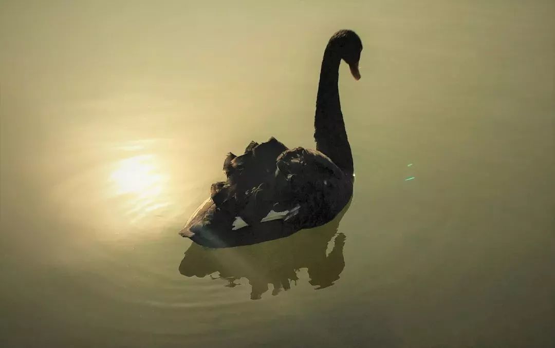 常州大学院校排名前十名,常州十大高校