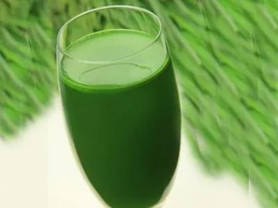 春节送人什么礼物最合适,春节有哪些不贵却拿得出手的礼物