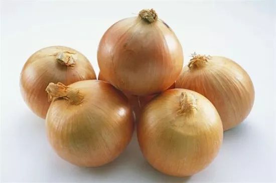 家里阳台春季可种20种蔬菜,阳台上适合种哪些蔬菜好看又营养