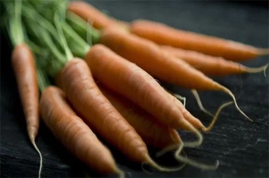 家里阳台春季可种20种蔬菜,阳台上适合种哪些蔬菜好看又营养