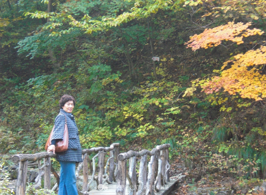 本溪市有名的画家,本溪桓仁画家村