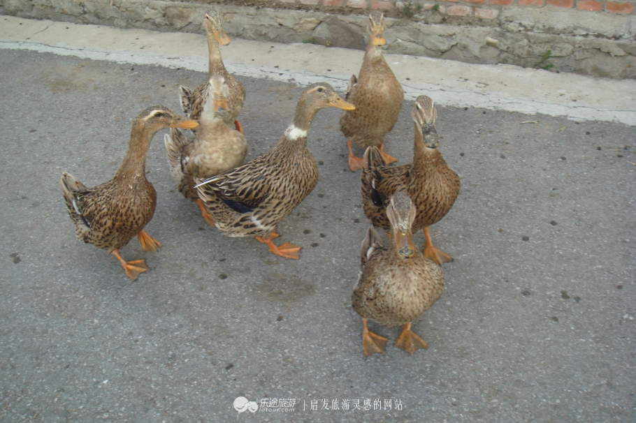 本溪市有名的画家,本溪桓仁画家村