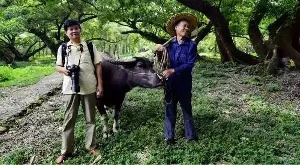 假照片有哪些骗局,那些假照片的背后