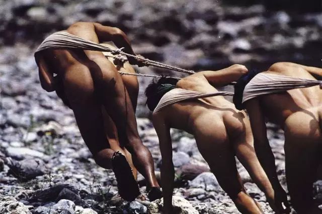 假照片有哪些骗局,那些假照片的背后