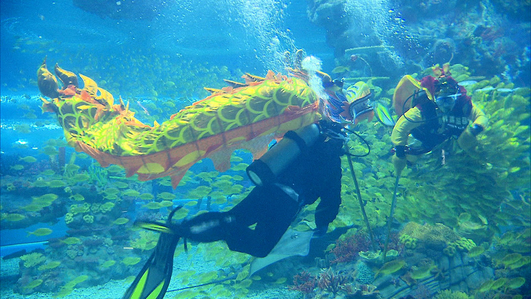 海昌极地水下舞龙拜年,海昌极地海洋公园水下舞龙