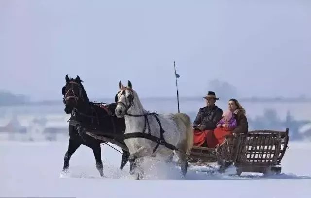 北京哪个公园玩冰雪好,北京冰雪嘉年华游玩攻略