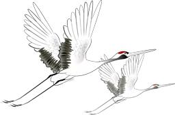 “泰”舒服了！听说，和冬天更配的“宜游之城”就在这儿！温泉水暖、古镇飘香…是时候来场冬季泰州行啦